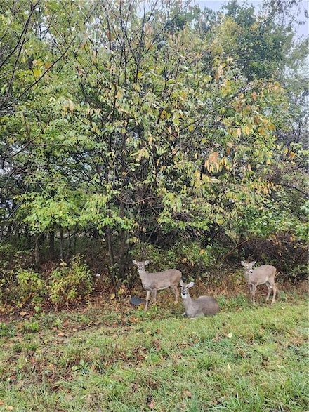 29 Ohio Dr, Linn Valley, KS 66040