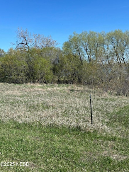 0 Lot 8 Evers Rd Unit 35-631, Corona, SD