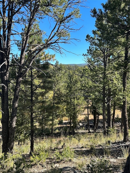 59 Silver Feather Trail, Pecos, NM 87552