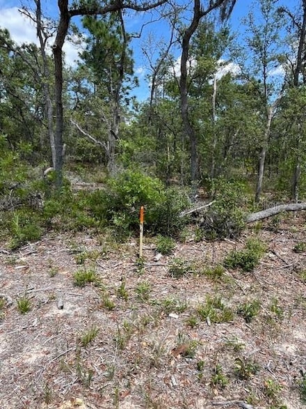 TBD SW 57th Ave Unit 46 & 47, Interlachen, FL 32148