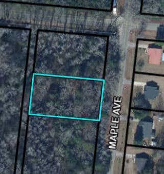 01 S Maple Ave, Denmark, SC 29042