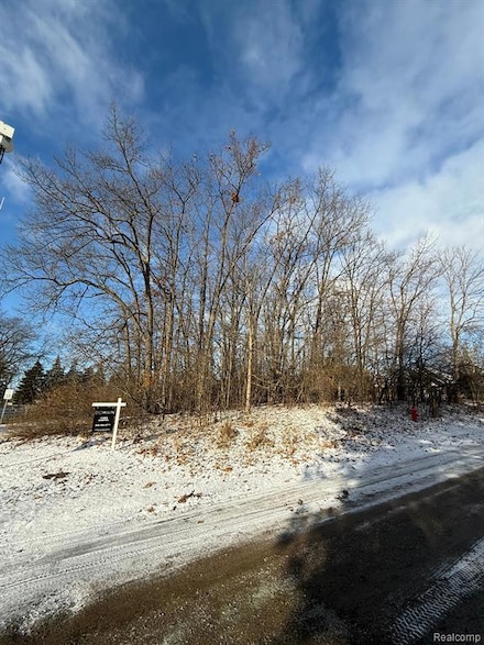 2390 Klingensmith Rd, Bloomfield Township, MI 48302