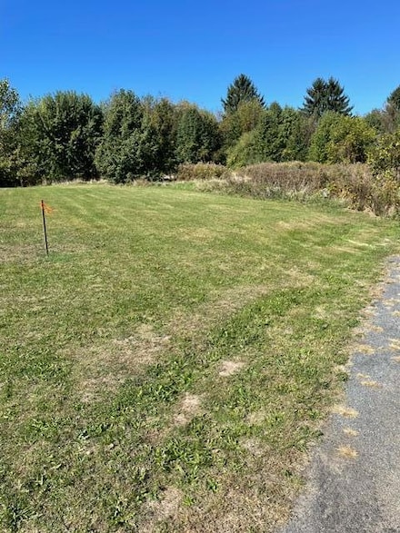 Parcel 2-B Niles Road M-63, St. Joseph, MI 49085