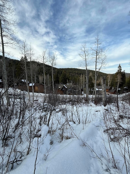 1037 Snow Crest Rd, Alpine Meadows, CA 96146