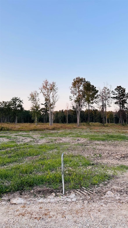 16425 Peacock Dr, Walker, LA 70785