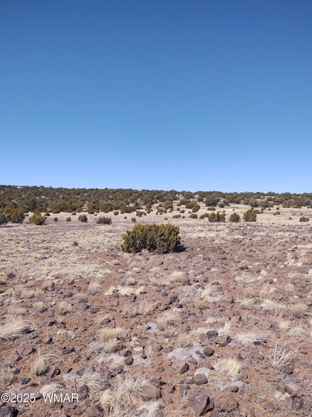 0 Irwin Ave Unit 255058, Concho, AZ 85924