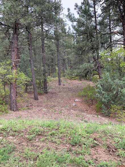 X Echo Lake Access Esmt Co, Pagosa Springs, CO 81147