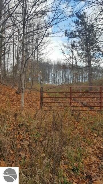 6258 W Old State Rd, Central Lake, MI 49622