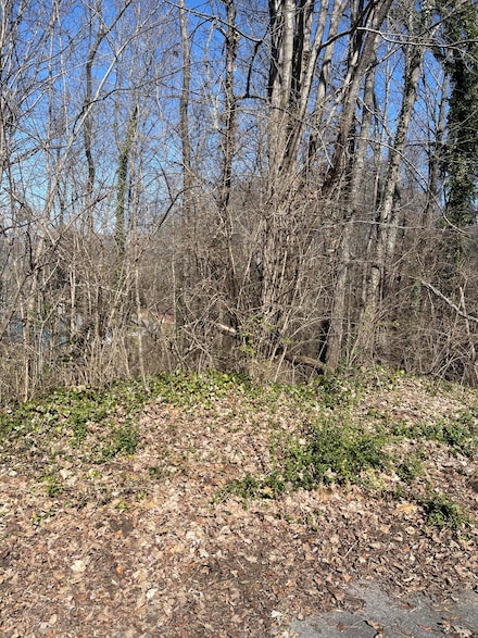 98 Geneva Ln, Morristown, TN 37813