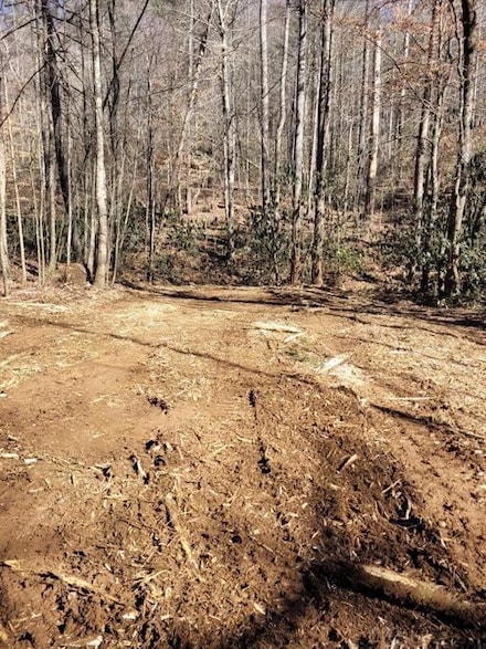 0 Bryant Creek Rd Unit 7520948, Ellijay, GA 30540