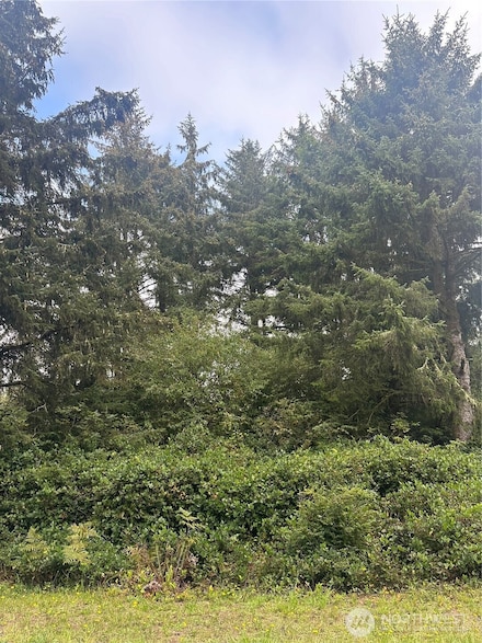 470 Lake West Loop NE, Ocean Shores, WA 98569