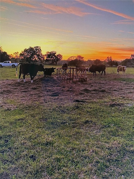 3650 NE 95th St, Anthony, FL 32617