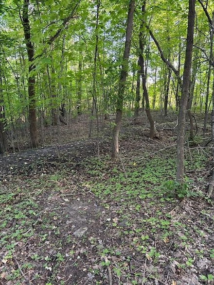 17701 Mushtown Rd, Prior Lake, MN 55372