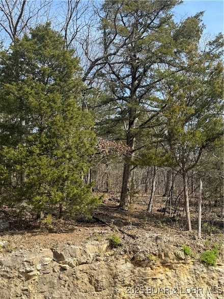 Lot 67 Regency Cove Dr, Village of Four Seasons, MO 65049