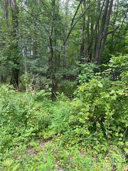 15 Ambassador Ct, Coxsackie, NY 12015