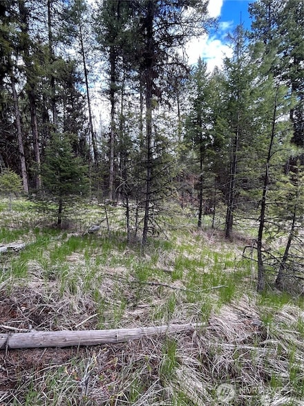0 Wannamaker Rd Unit NWM2395879, Oroville, WA 98844