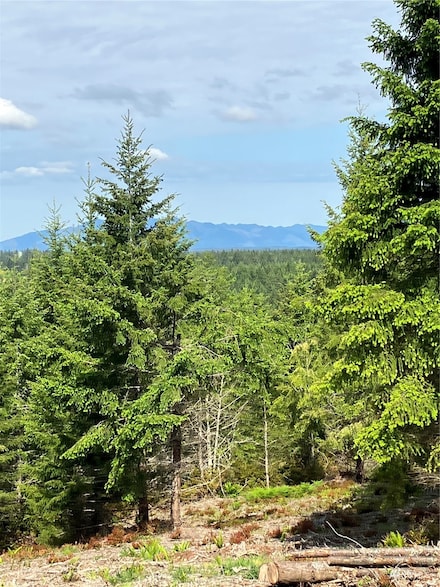 3 E Lone Fir Drive Rd E, Shelton, WA 98584