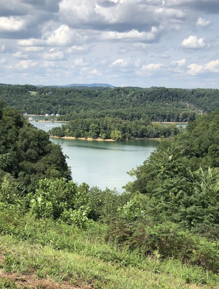 0 Bluebird Point, Byrdstown, TN 38549