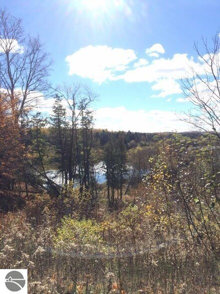 14 Miles Rd, Mesick, MI 49668