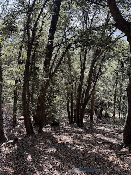 0 343-061-27-000 Unit HD25031796, Cedarpines Park, CA 92322