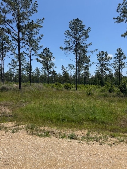 TBD 38 Reveille Rd, Livingston, TX 77351