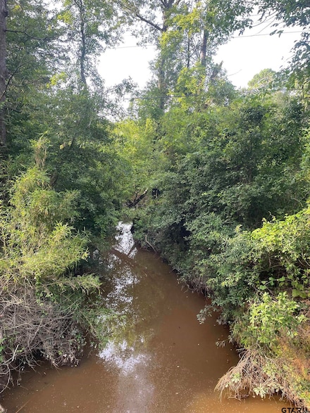 TBD Fm 16, Winona, TX 75792