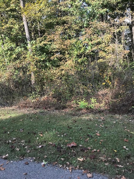 TBD Lot#8 Elem Dr, Chilhowie, VA 24319