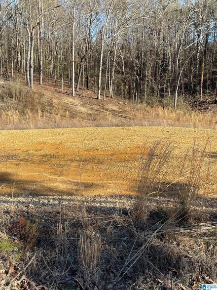 0 Carol Dr Unit 31 1321689, Anniston, AL 36206