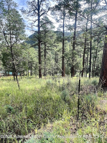106 Twin Mountain Rd, Ruidoso, NM 88345