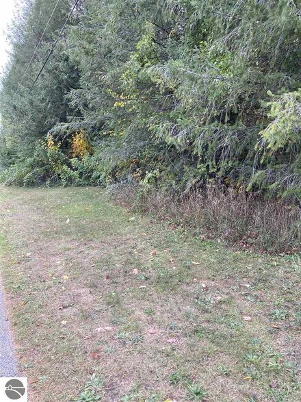 B1-B Jackson Rd Unit B1-B, Elk Rapids, MI 49629