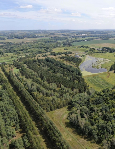 TBD 272nd St, St. Martin Township, MN 56362