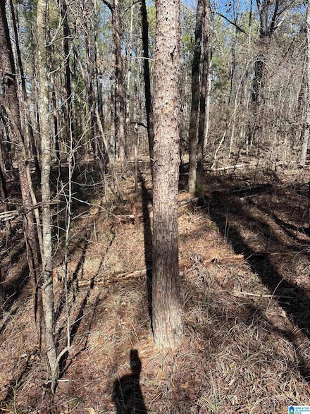 0 Fieldcrest Dr Unit Lot 9 21408630, Hayden, AL 35079