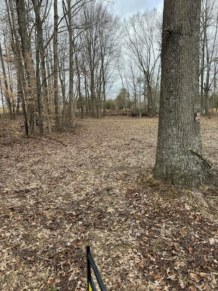 305 Hart Ln, Russell Springs, KY 42642