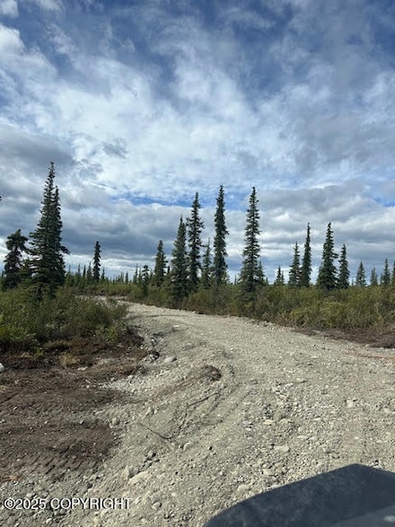 49668 S Timberwolf Rd, Chickaloon, AK 99674
