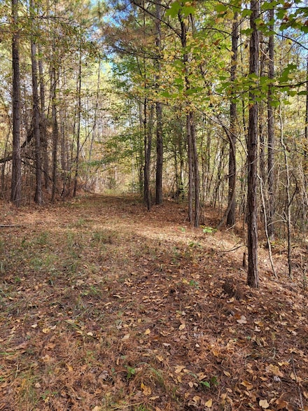 0 Bullocks Ferry Rd Unit 21222623, Alpine, AL 35014