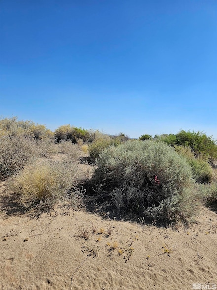 8245 Kamibo Dr, Fallon, NV 89406