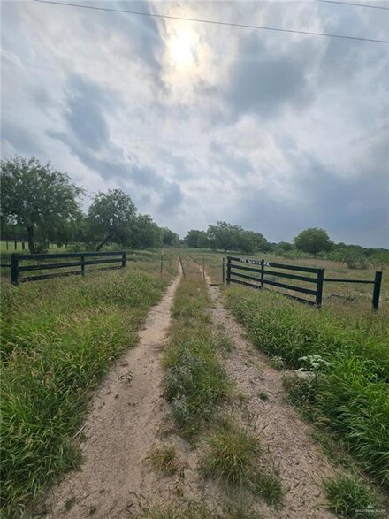 1913 Tordillo Rd, Palmview, TX 78572