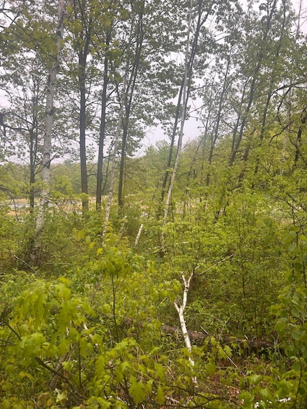 xxx Cardinal Trail, Cushing Township, MN 56475