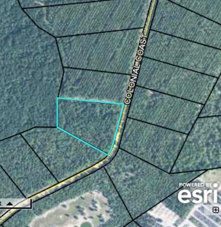 0 Colonial Coast Cir Unit 1623745, Townsend, GA 31331
