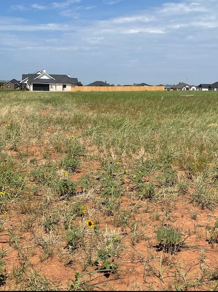 141 Sparrow Hills Ln, Tuscola, TX 79562