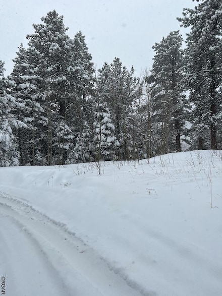 Lot 4 Lake Isabell Dr, Rye, CO 81069