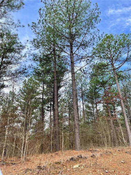 749 Timber Creek Trails South Xl, Broken Bow, OK 74728