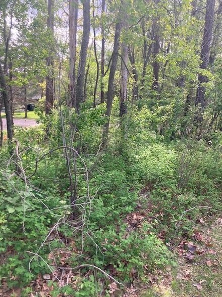 Lot 3 N Pinewood Dr, Breezy Point, MN 56472