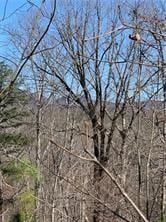 0 Jones Mountain Rd Unit 7527210, Talking Rock, GA 30175
