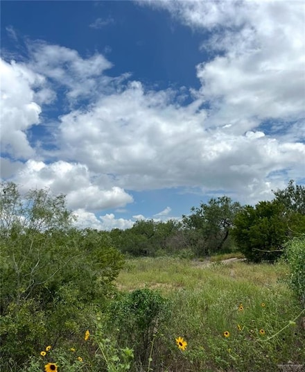 TBD Farm To Market 1017, San Isidro, TX 78588