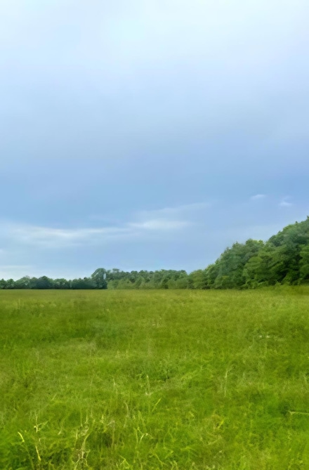 682 Williams Rd, Defuniak Springs, FL 32433