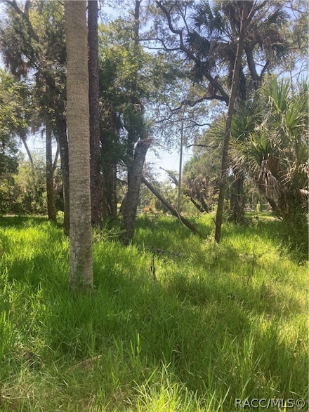 0 SW 137th St Unit 834672, Waldo, FL 34433