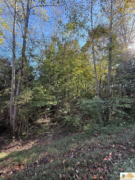 LOT 38 Siddens Rd, Glasgow, KY 42141