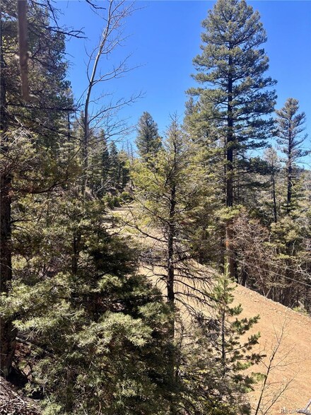 000 Vreeland Rd Unit 6077, Fort  Garland, CO 81133