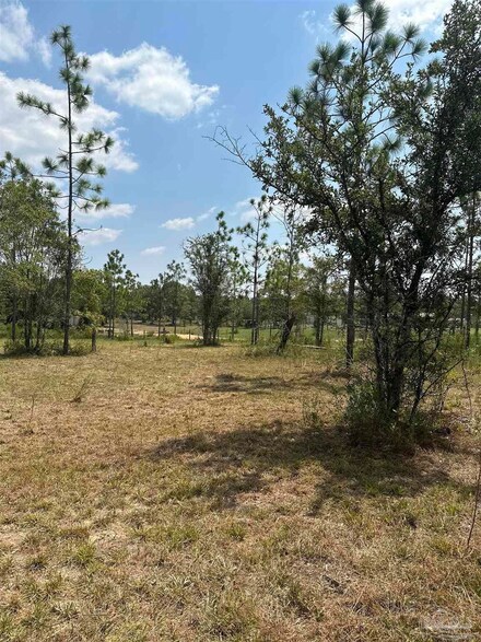 7706 Tidwell Rd, Pace, FL 32571